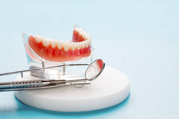 Professional Dental Services in Deerfield, MI